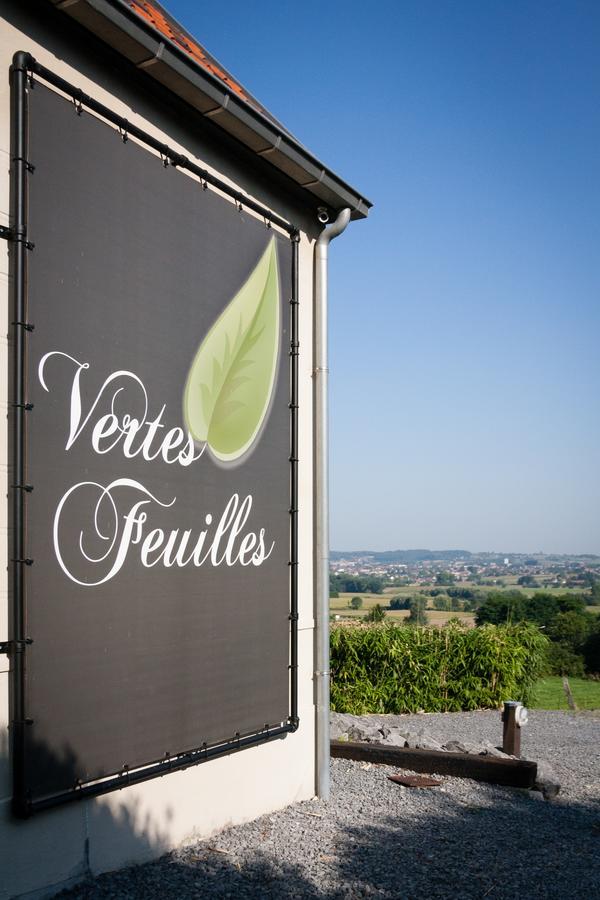 Vertes Feuilles Saint-Sauveur Exteriör bild